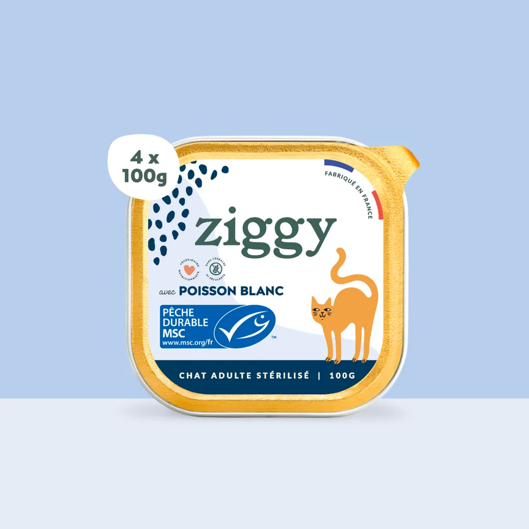 Ziggy natvoer kat witte vis 4 x 100 g graanvrij