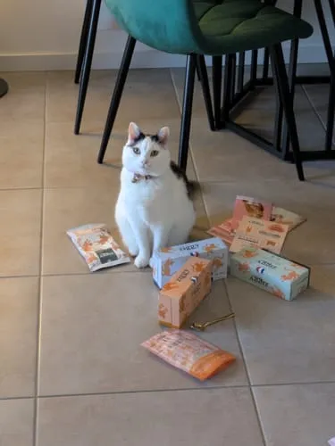 Ziggy natvoer gesteriliseerde kat kip 4 x 100 g tomaat olijf