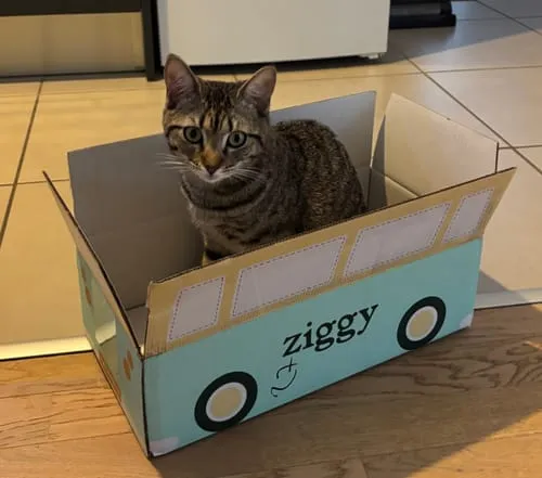 Ziggy graanvrij natvoer gesteriliseerde kat kip 4x100g