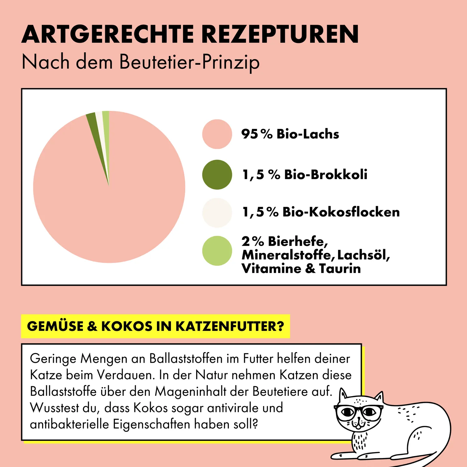 STRAYZ zalm broccoli natvoer kat 85g graanvrij