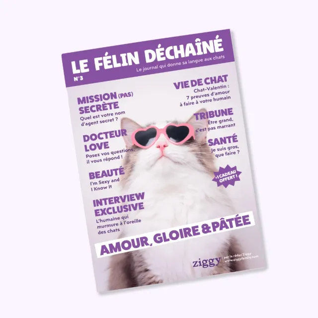 Ziggy Le Félin Déchaîné kattenmagazine nummer 3 Frans