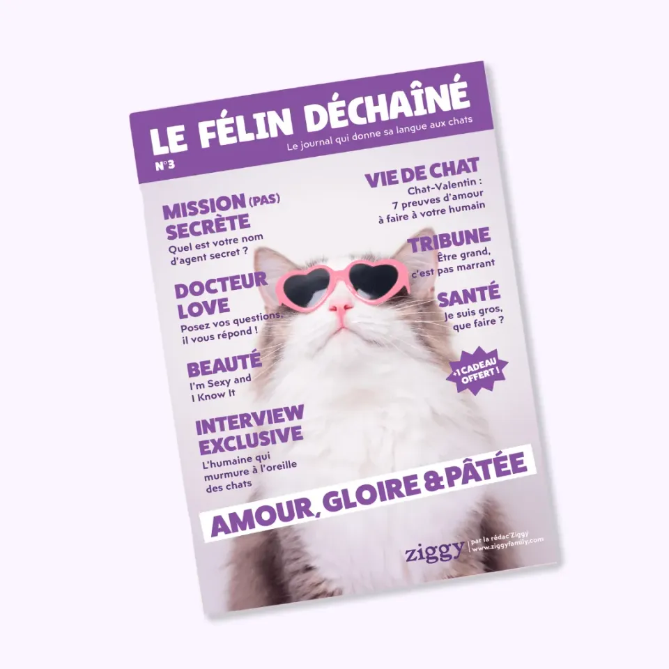 Ziggy Le Félin Déchaîné kattenmagazine nummer 3 Frans