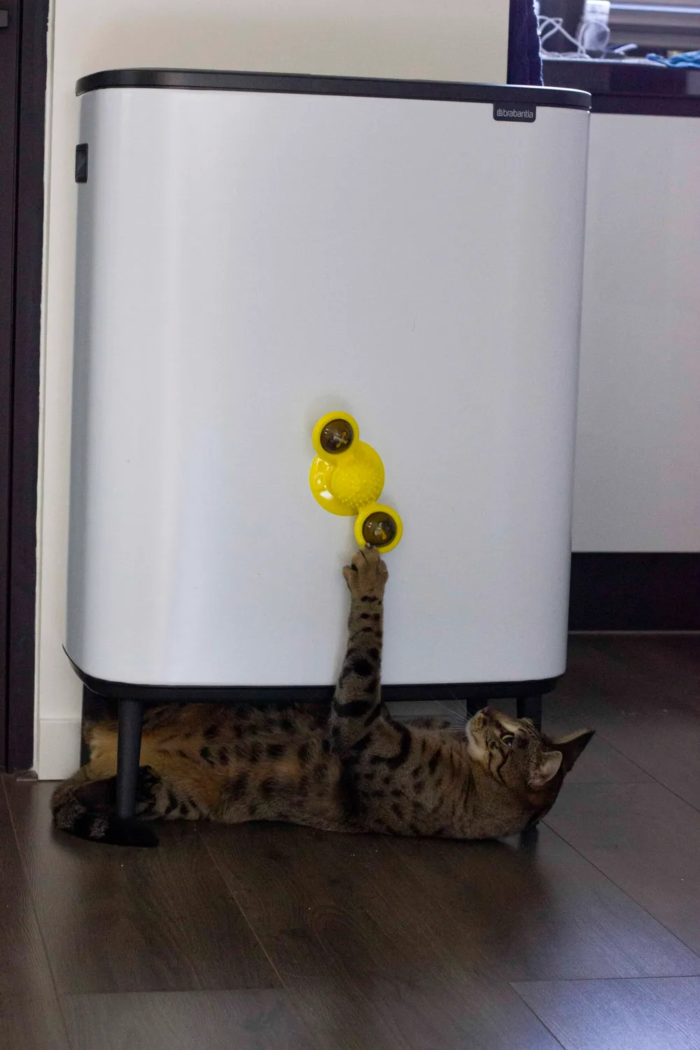 Poezenparadijs Windmolen kattenspeeltje TPR met kattenkruid