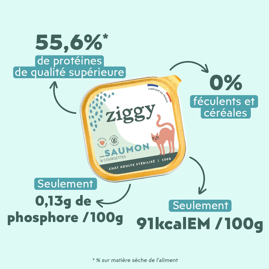 Ziggy graanvrij natvoer gesteriliseerde kat zalm 4x100g