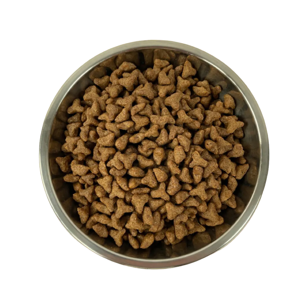 EASYPETS Tasty Chicken kattenbrokken 1,5 kg kip ster