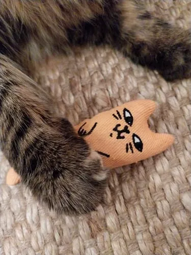 Ziggy Mascot kattenspeeltje catnip katoen