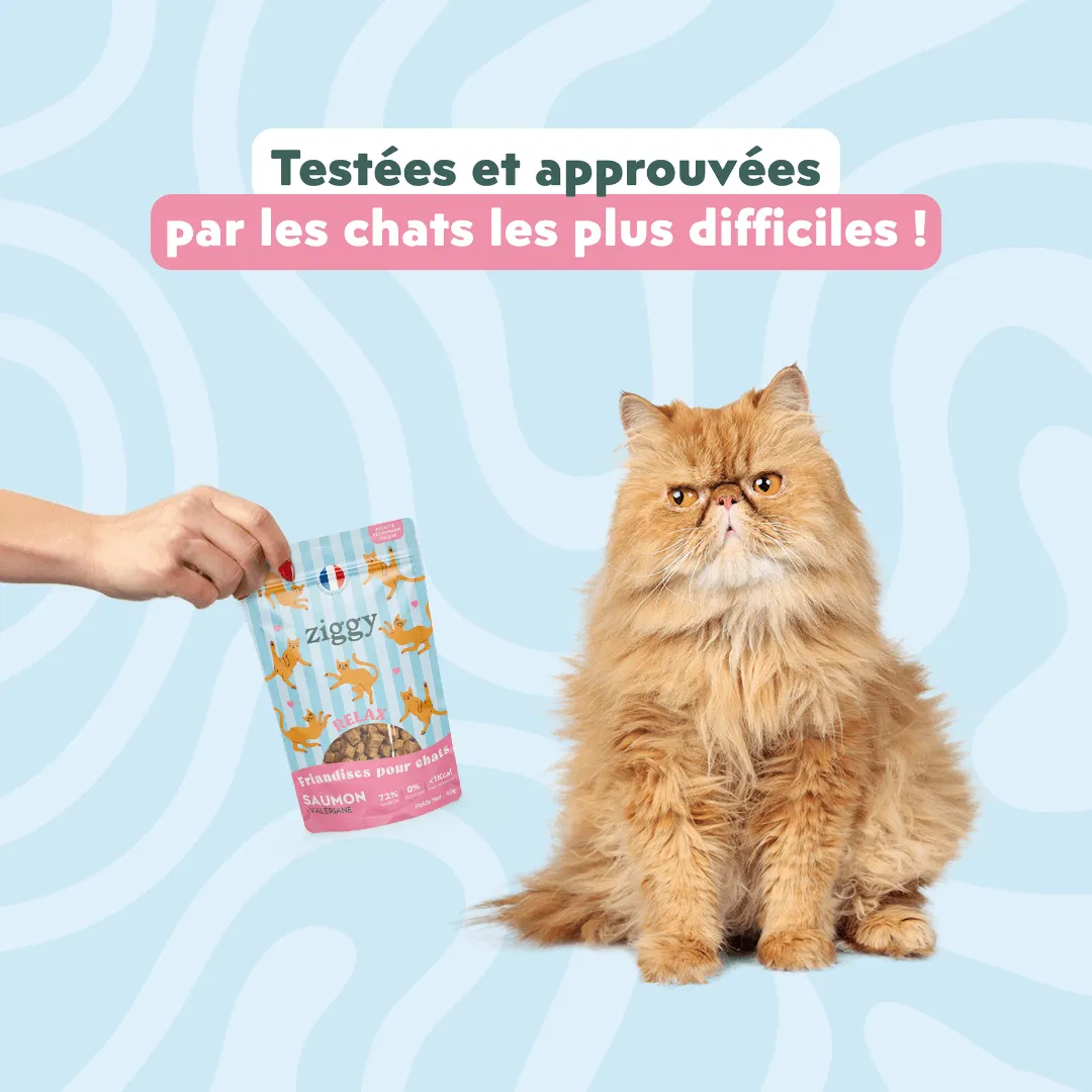 Ziggy Relax kattensnoepjes zalm valeriaan 40g graanvrij