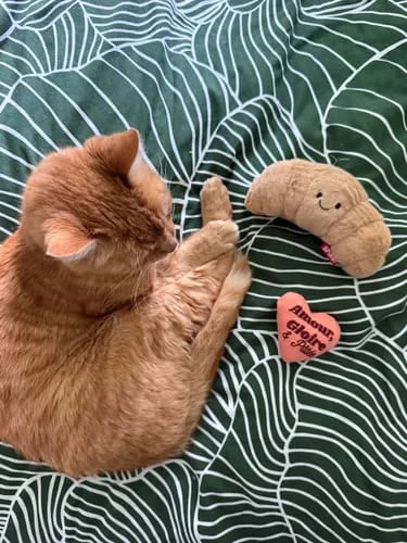 Ziggy Hart kattenspeeltje catnip katoen