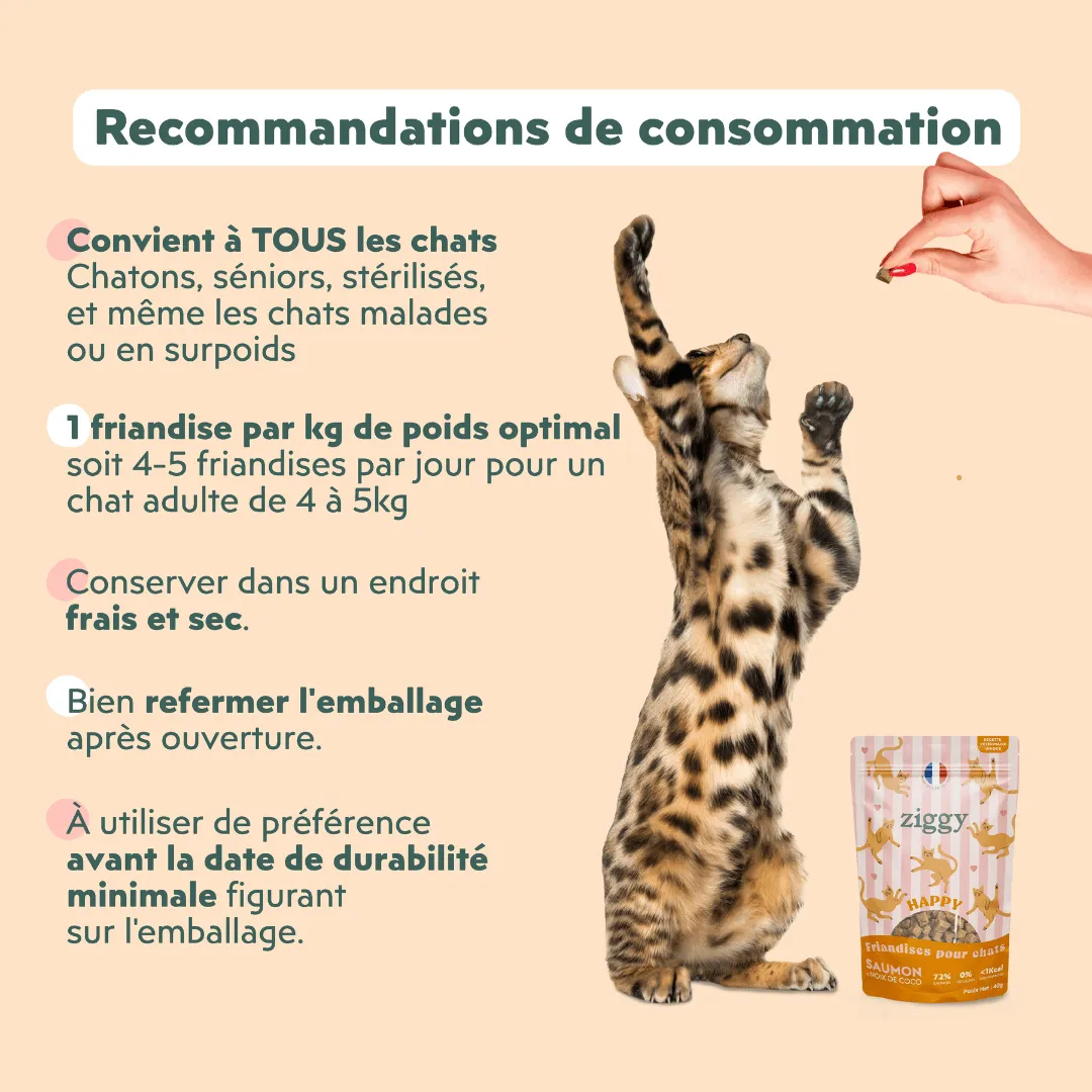 Ziggy Happy Cat Treats kattensnoepjes met zalm 40g graanvrij