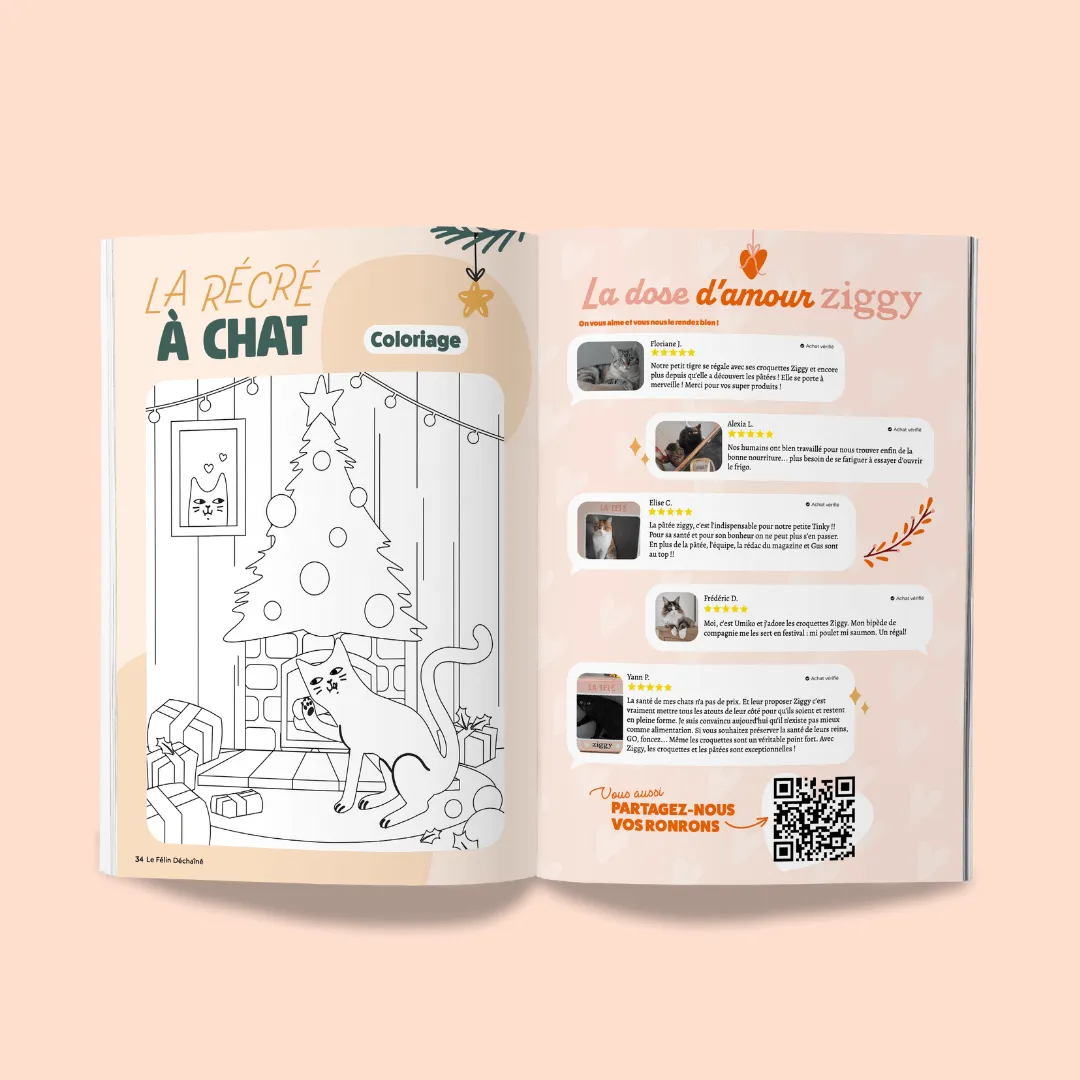 Ziggy Félin Déchaîné kattenmagazine editie 7 Frans