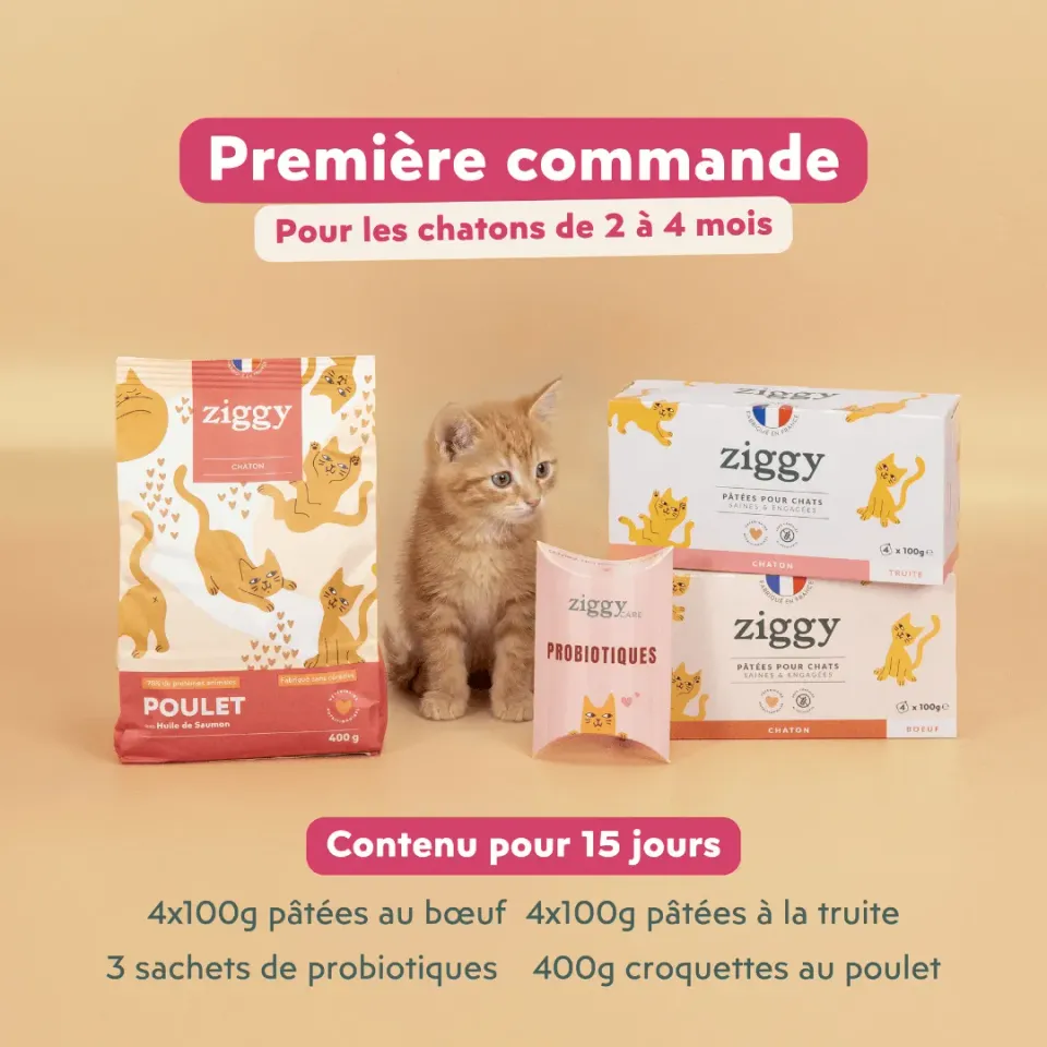 Ziggy Kitten Starter Kit startpakket 2-4 maanden