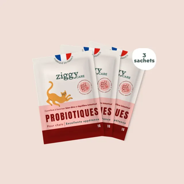 Ziggy Probiotics probiotica kat 3 dagen darmflora