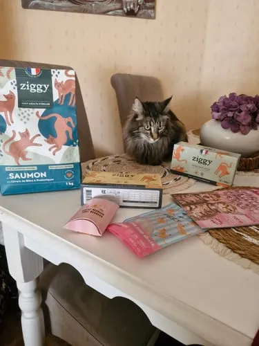 Ziggy graanvrij natvoer gesteriliseerde kat kip 4x100g