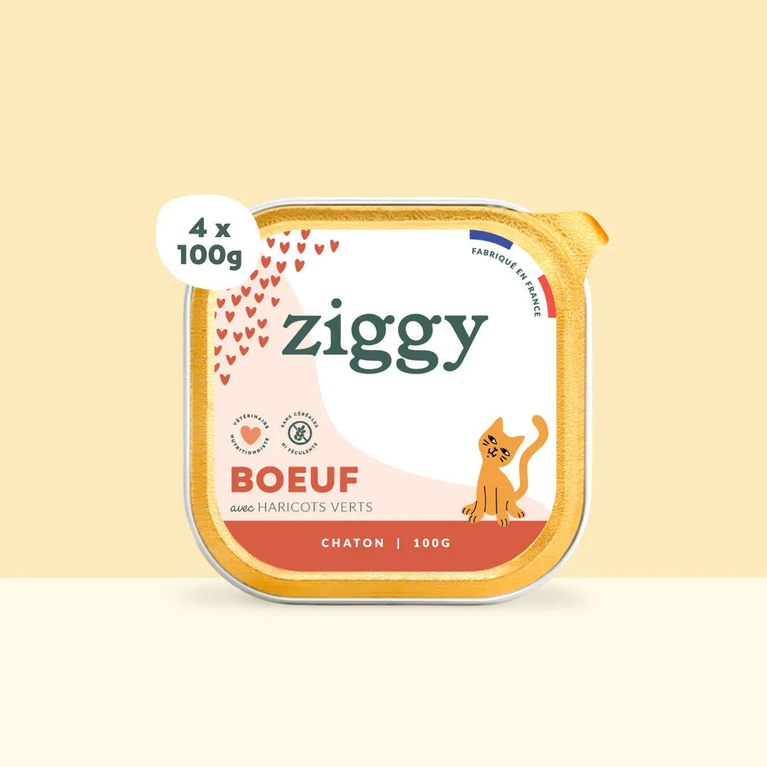Ziggy natvoer kitten rund 4x100g zetmeelvrij