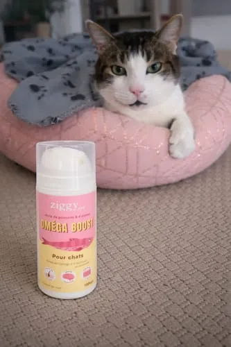 Ziggy Omega Boost visolie kat 100 ml EPA DHA