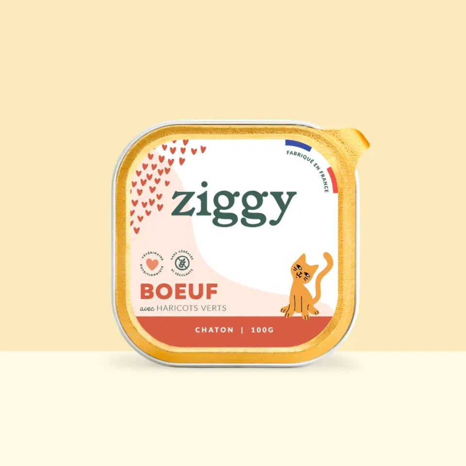Ziggy kitten natvoer rund graanvrij 4x100g eiwitrijk