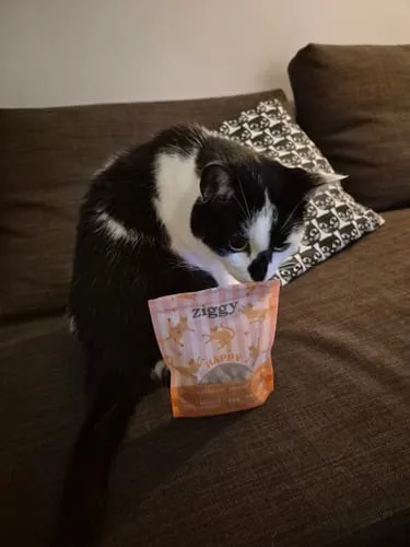 Ziggy Happy Cat Treats kattensnoepjes met zalm 40g graanvrij