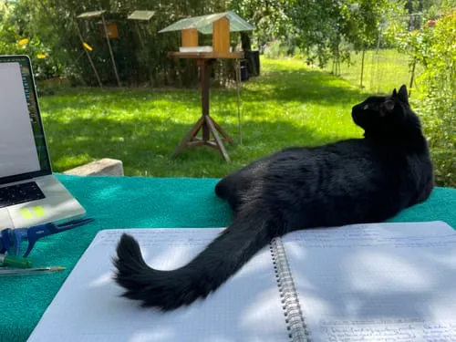 Ziggy Le Félin Déchaîné tijdschrift editie 14 Frans
