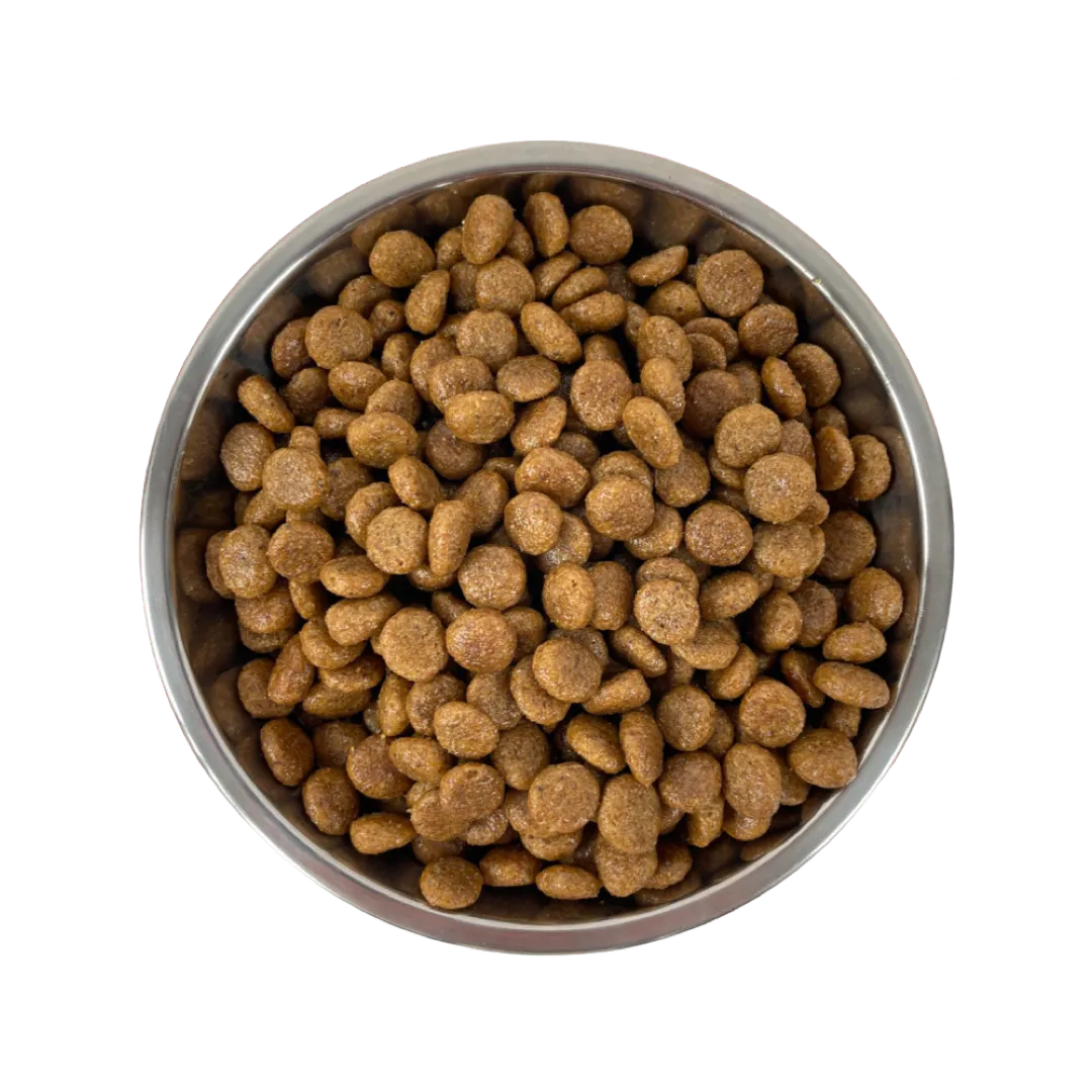 EasyPets Lovely Lamb Fish senior kattenbrokken 1,5 kg