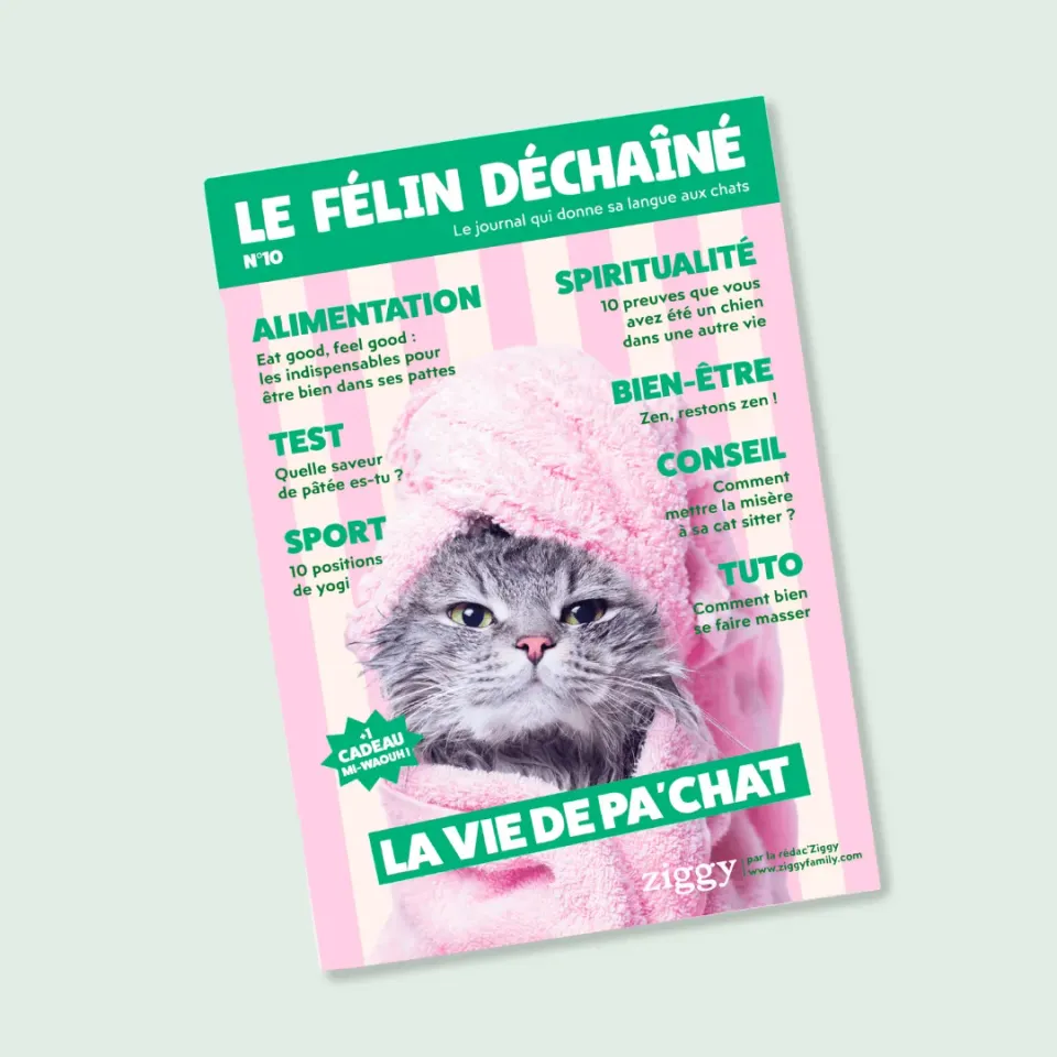 Ziggy Félin Déchaîné Issue 10 kattentijdschrift Frans