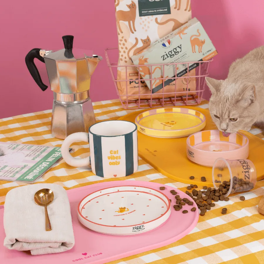 Ziggy Cat Vibes Only mok keramiek 350ml kleur