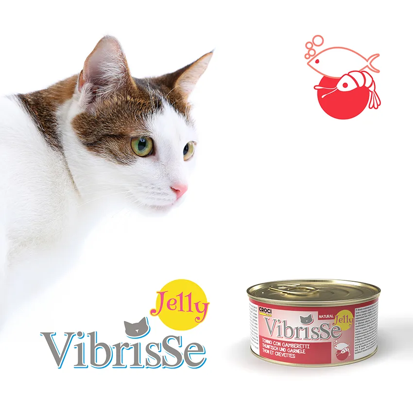 Vibrisse Jelly kip natvoer kat 70g blik gelei