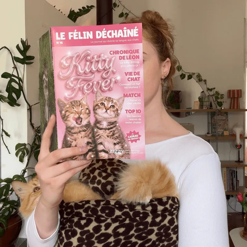 Ziggy Félin Déchaîné Issue 16 kattentijdschrift Frans