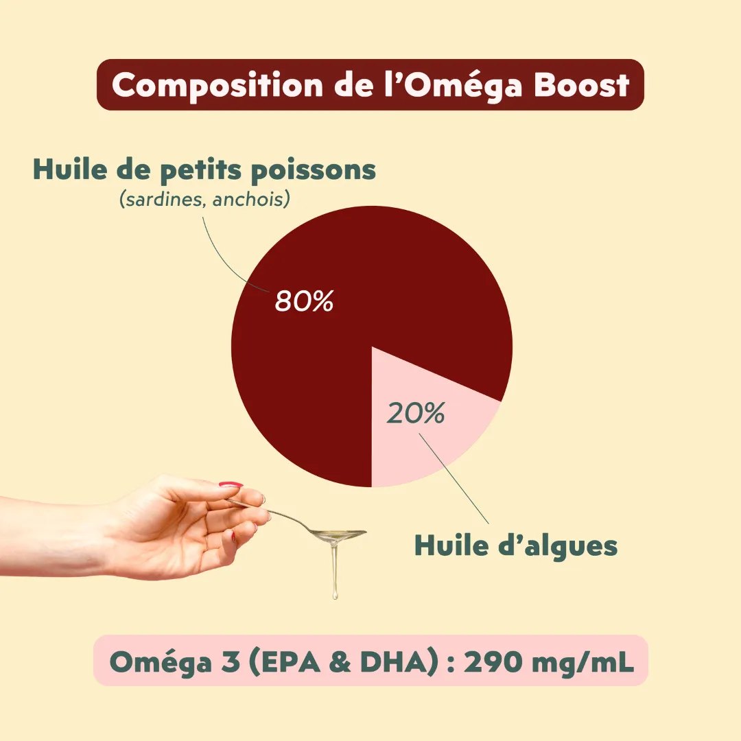 Ziggy Omega Boost visolie kat 100 ml EPA DHA