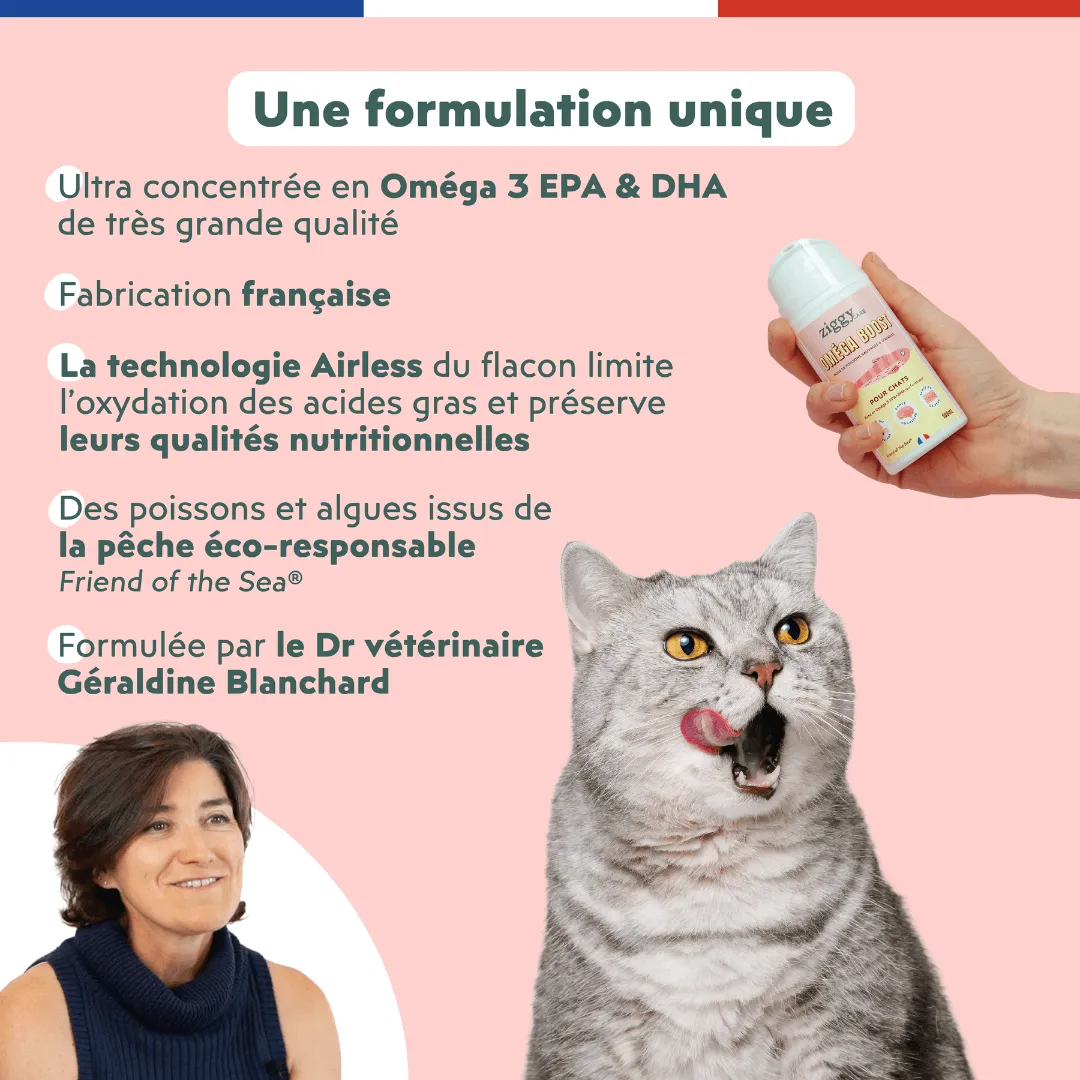 Ziggy Omega Boost visolie kat 100 ml EPA DHA