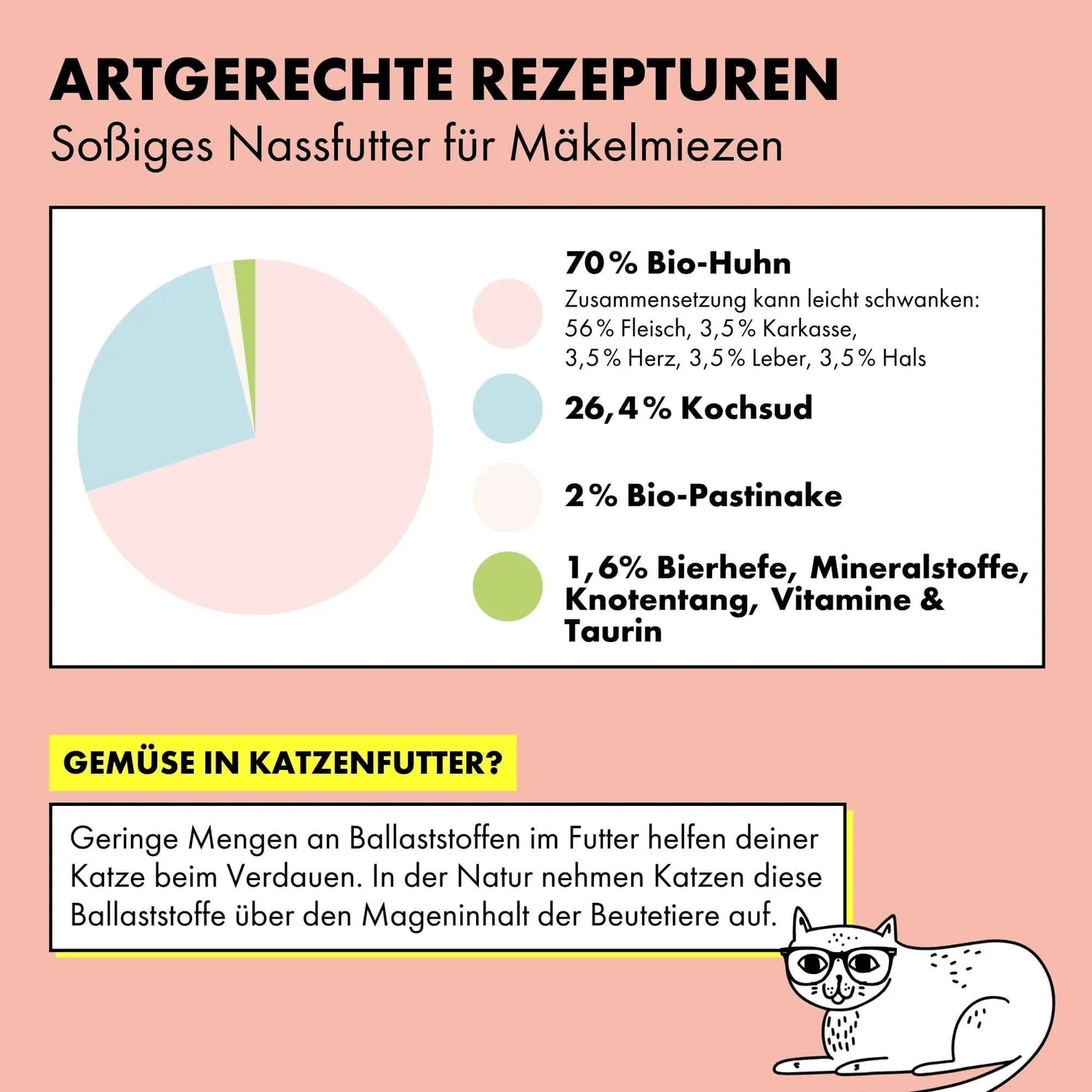 STRAYZ kip pastinaak in saus natvoer kat 200g bio