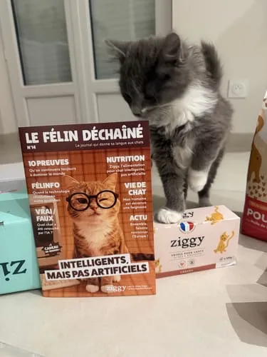 Ziggy Le Félin Déchaîné tijdschrift editie 14 Frans