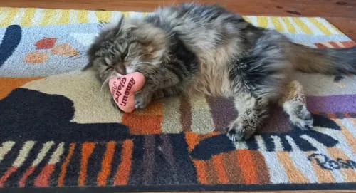 Ziggy Hart kattenspeeltje catnip katoen