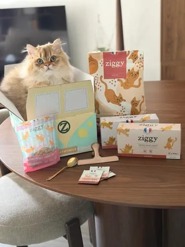 Ziggy Discovery Box kitten brokken natvoer 1 kg + 8 x 100 g