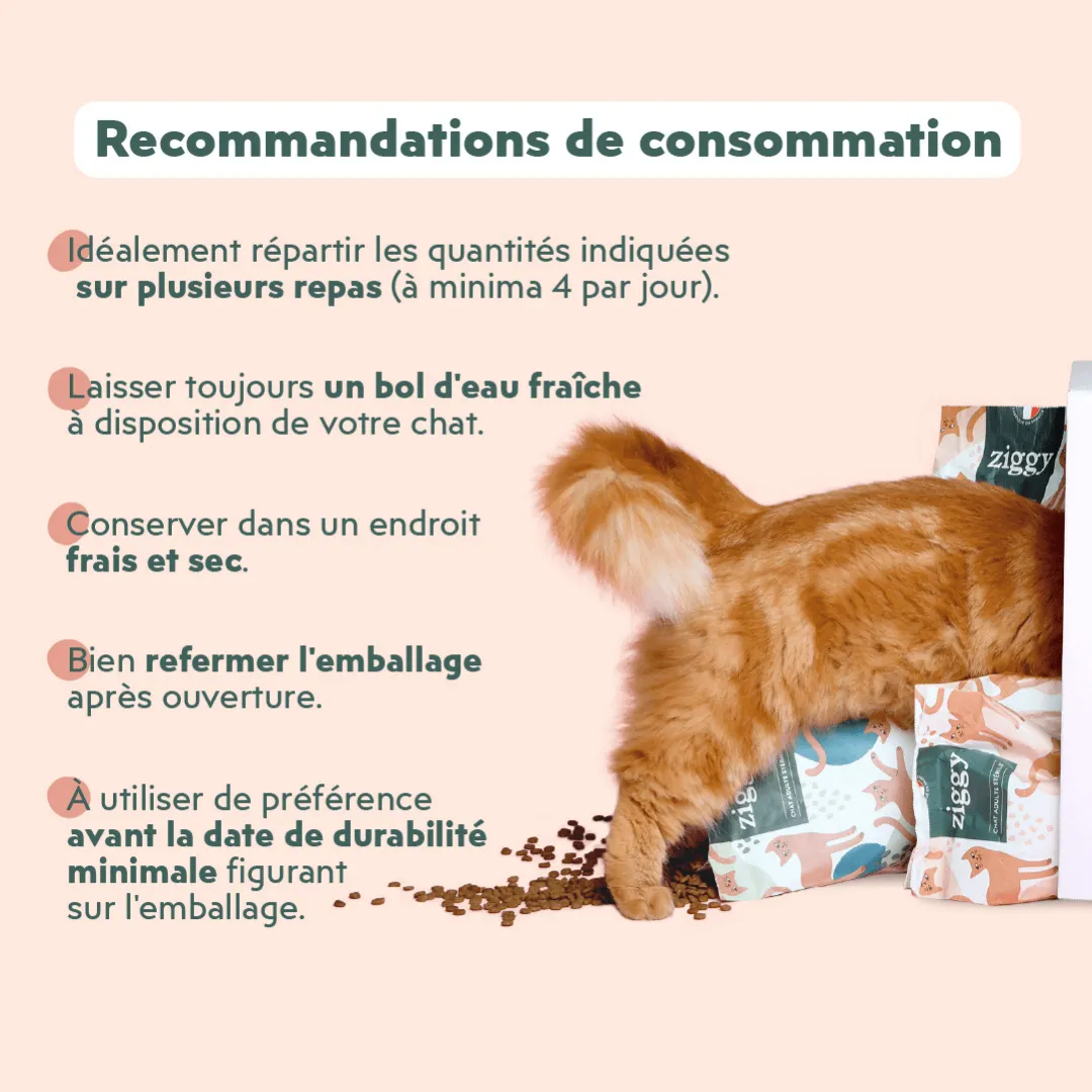Ziggy Sterilised Adult brokken kip 2,5 kg graanvrij