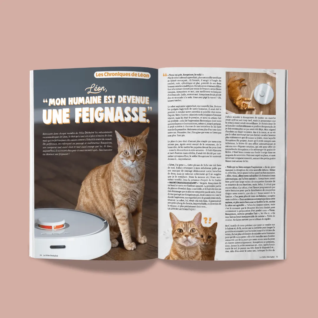 Ziggy Le Félin Déchaîné tijdschrift editie 14 Frans