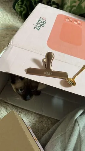 Ziggy Amour Gloire Pâtée voerlepel natvoer rvs