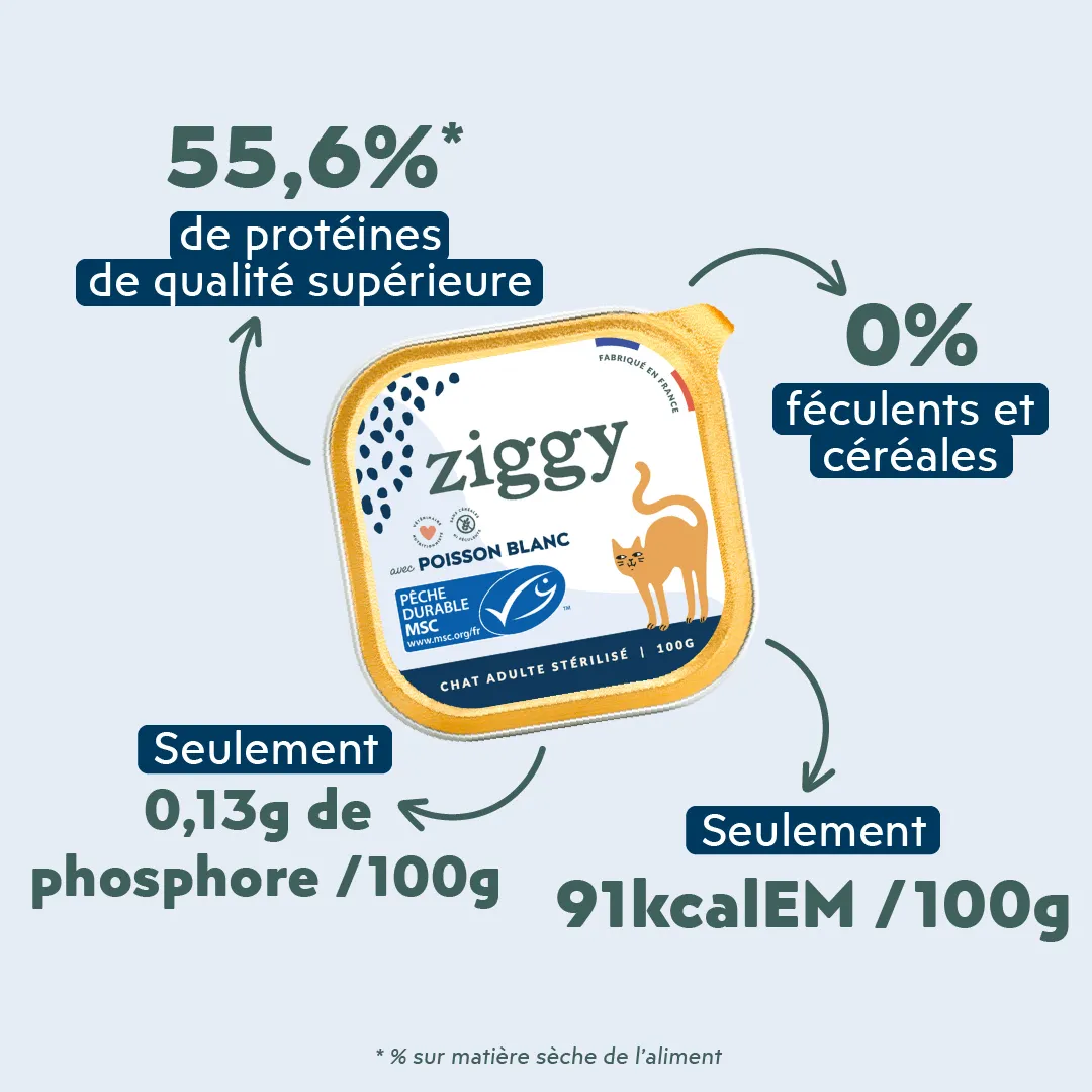 Ziggy Gesteriliseerde Kat Witvis natvoer 4 x 100 g graanvrij