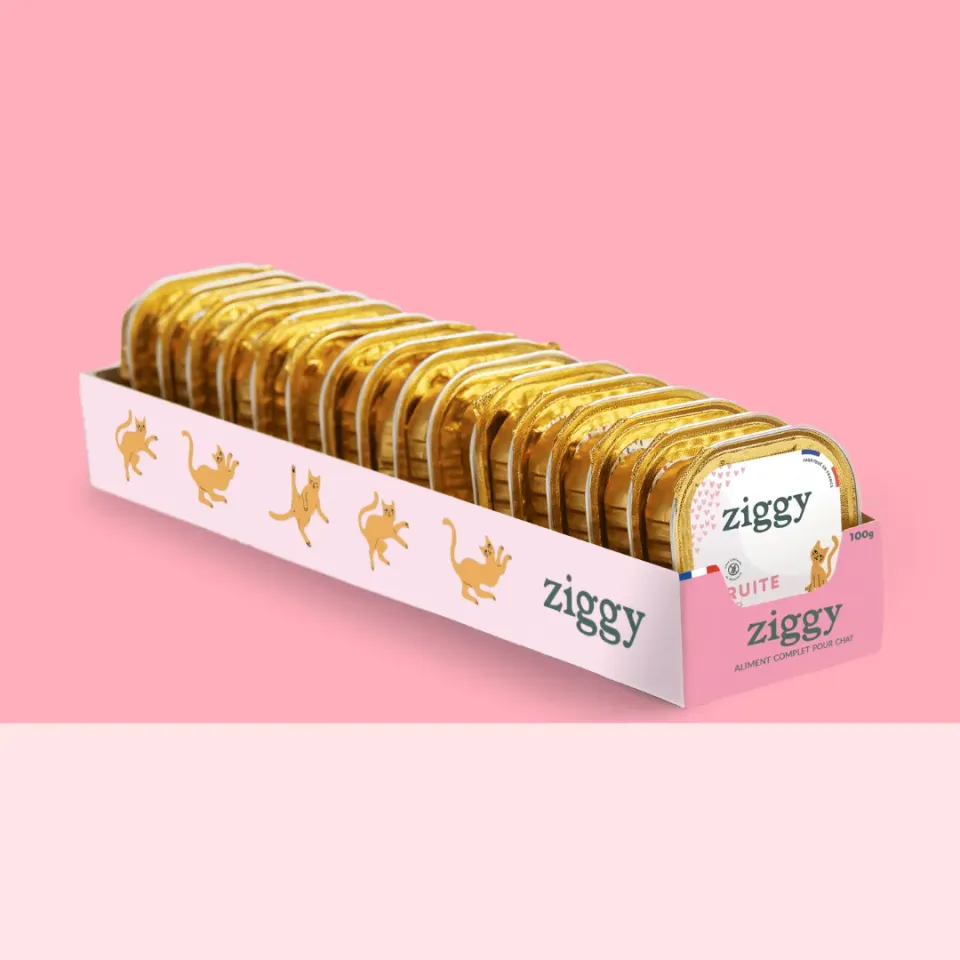 Ziggy kitten natvoer forel 16 x 100 g zetmeelvrij