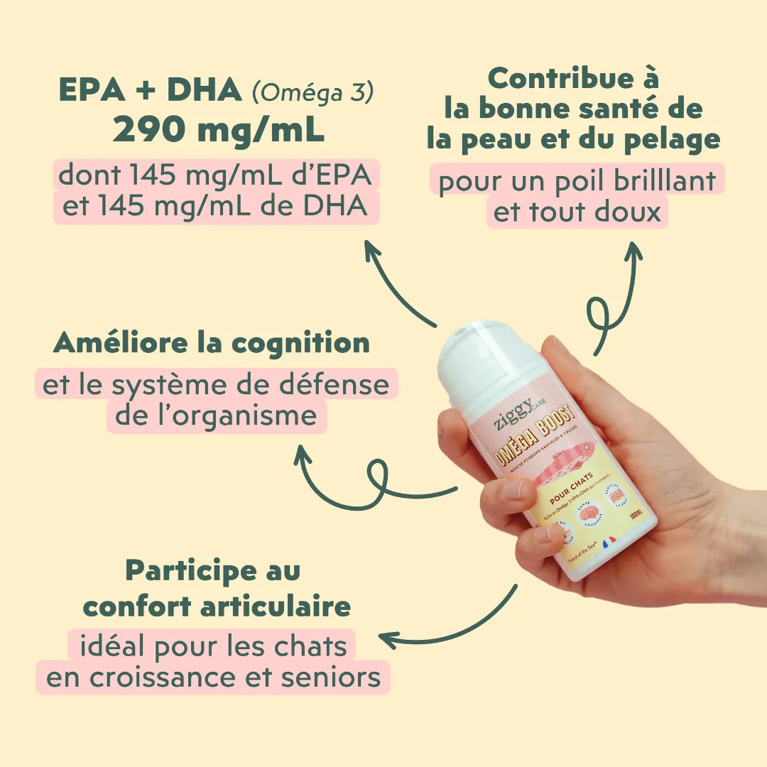Ziggy Omega Boost visolie kat 100 ml EPA DHA
