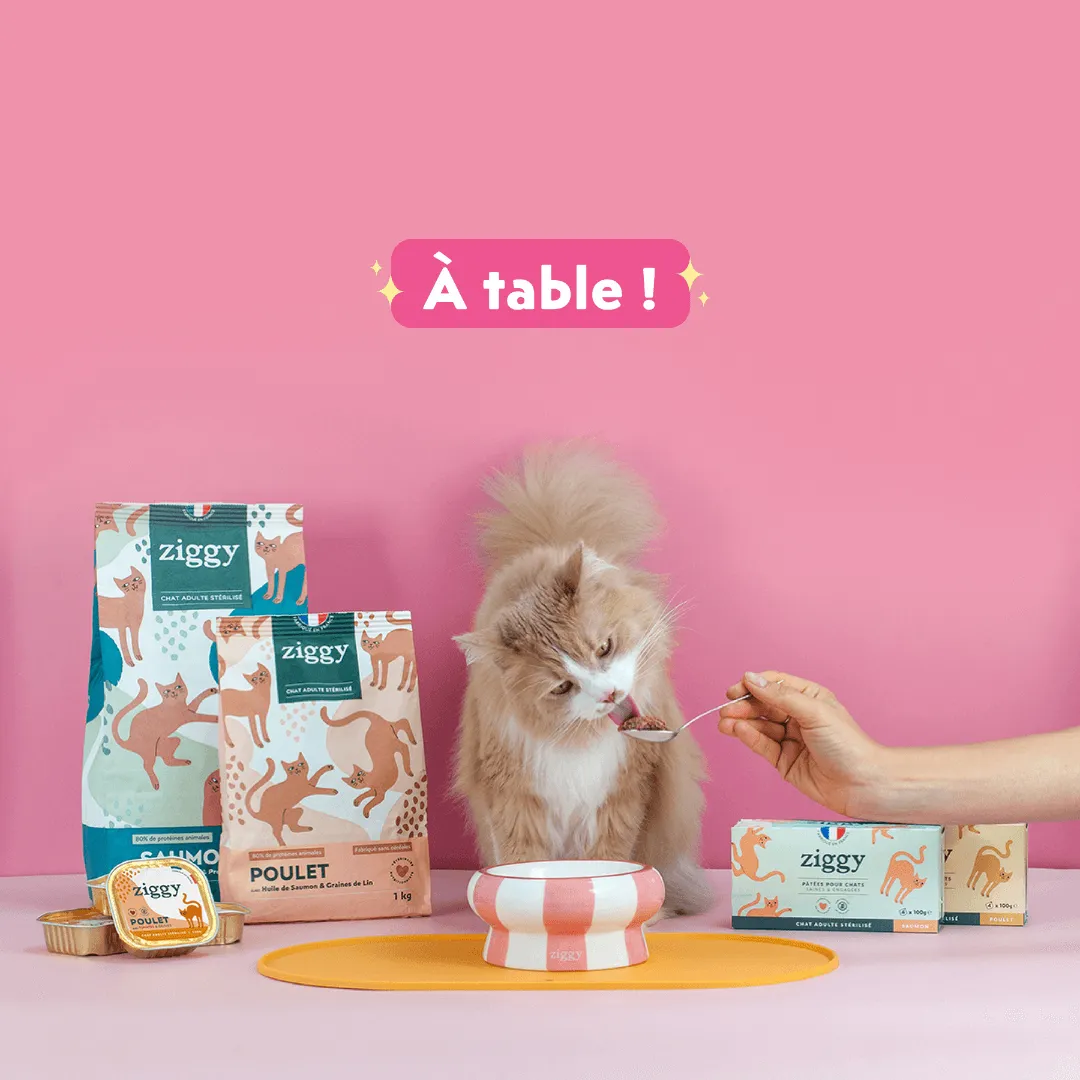 Ziggy Cool Cat Club voermat kat roze klein siliconen antislip