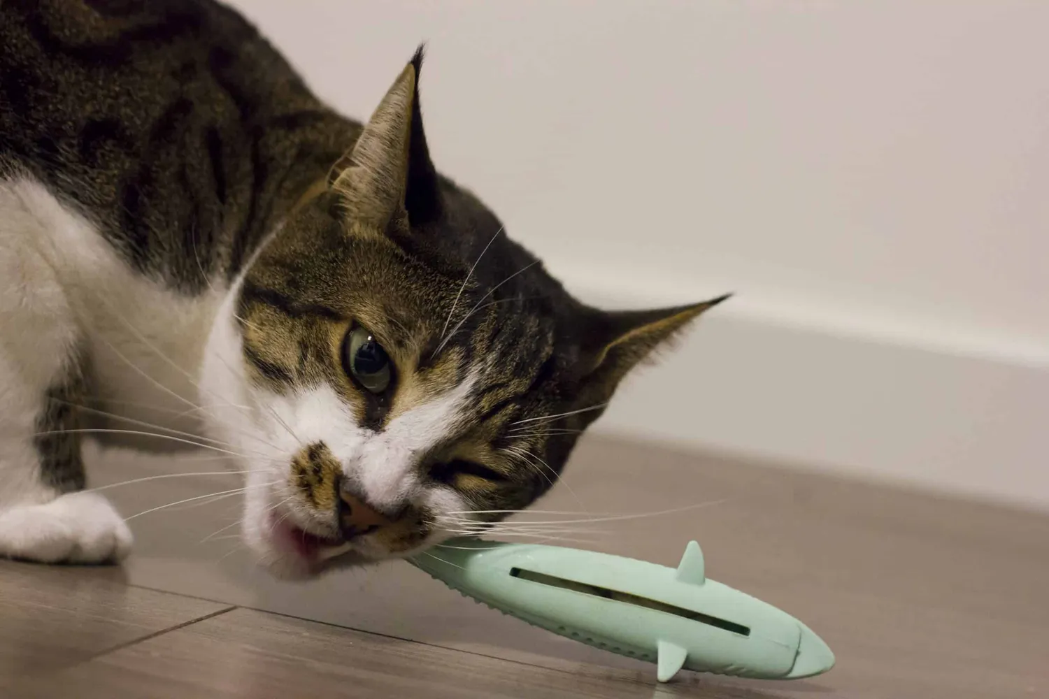 Poezenparadijs Siliconen gebitsreiniger kat kattenkruid 12 cm