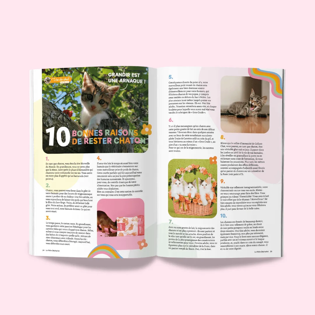 Ziggy Félin Déchaîné Issue 16 kattentijdschrift Frans