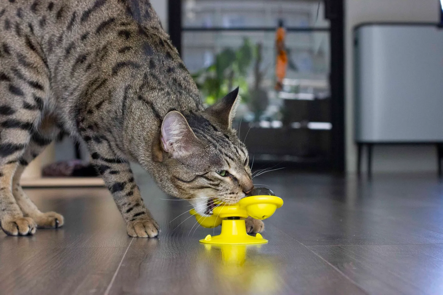 Poezenparadijs Windmolen kattenspeeltje TPR met kattenkruid