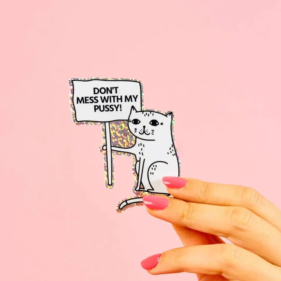 STRAYZ katten sticker Don't mess with my Pussy