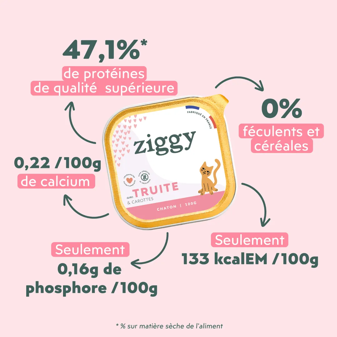 Ziggy Kitten Forel natvoer 4 x 100 g graanvrij