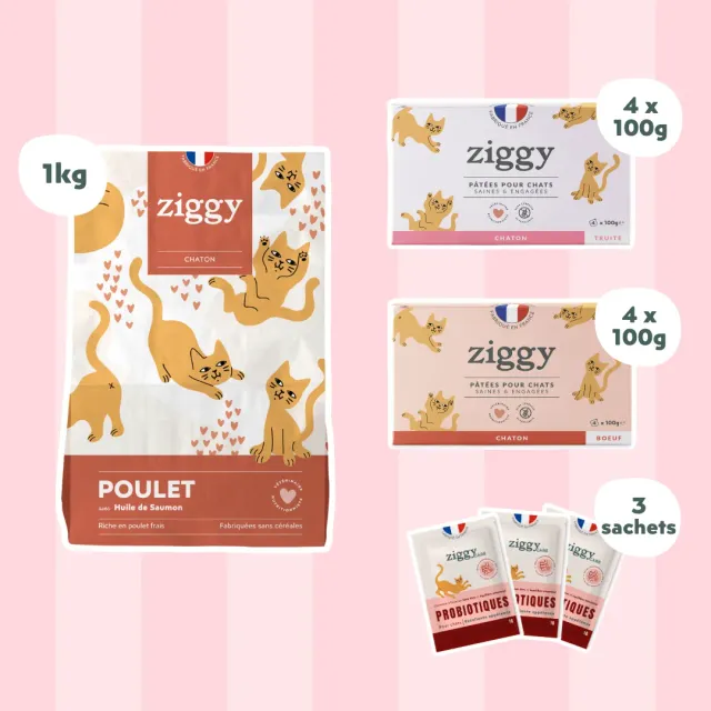 Ziggy Discovery Box kitten brokken natvoer 1 kg + 8 x 100 g