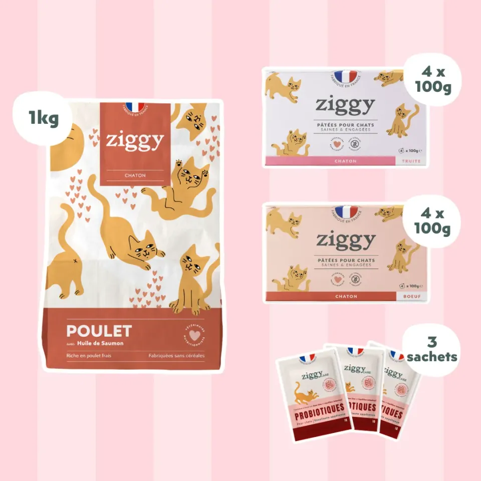 Ziggy Discovery Box kitten brokken natvoer 1 kg + 8 x 100 g
