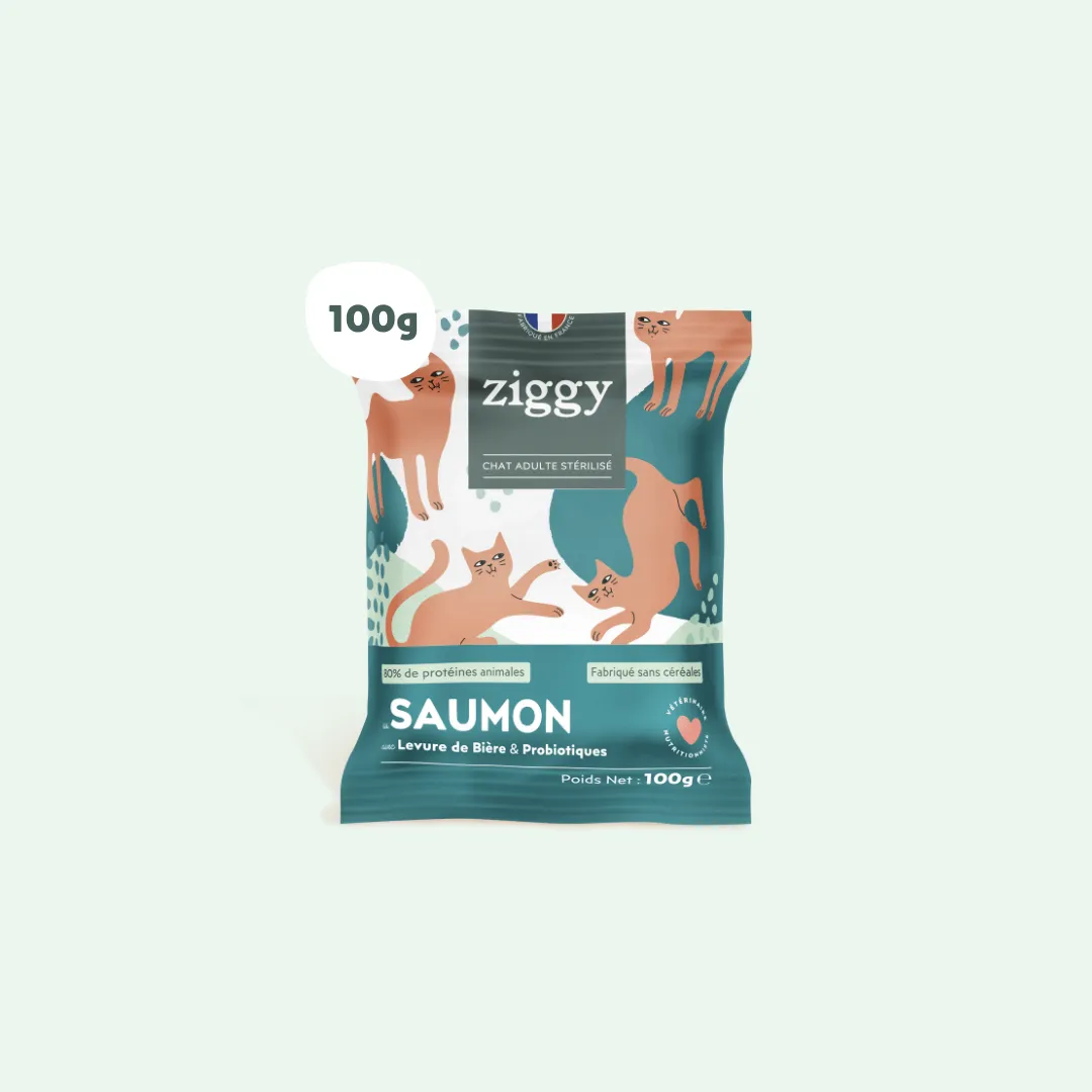 Ziggy Proefpakket droogvoer kat kitten 3 smaken