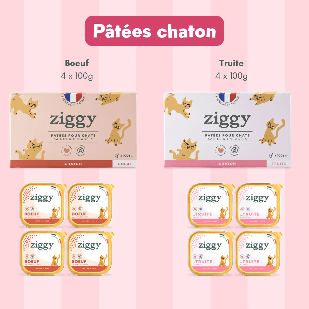 Ziggy Discovery Box kitten brokken natvoer 1 kg + 8 x 100 g