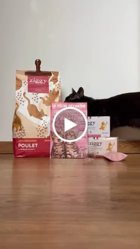Ziggy kittenbrokken kip met zalmolie 1kg graanvrij